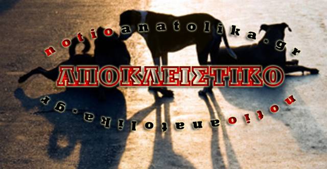 Παιανία: Τον ενοχλούσαν τα σκυλιά και έβγαλε όπλο! 