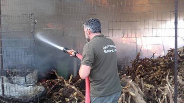 Η απόδειξη της υπευθυνότητας της θηροφυλακής στη φωτιά στο Κορωπί!