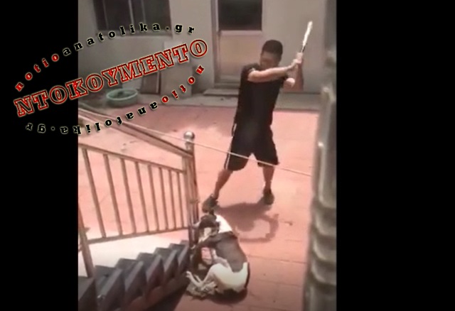 Κτηνωδία! (Βίντεο με ιδιαίτερα σκληρές εικόνες)