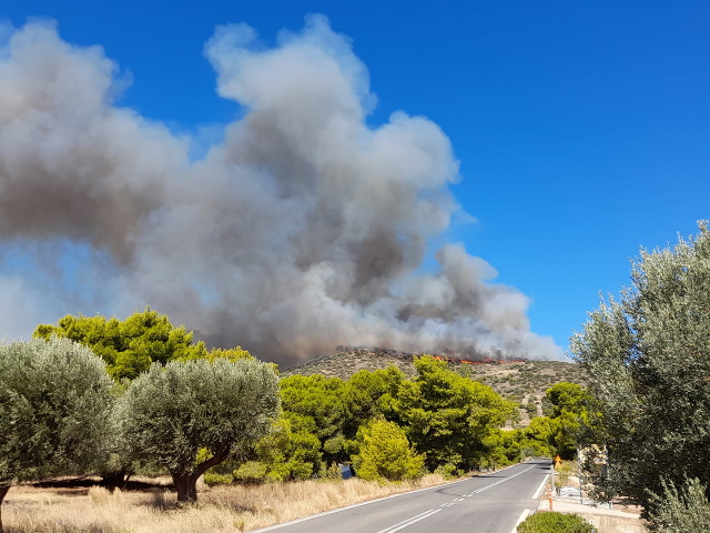 Πυρκαγιά σε εξέλιξη στο Μαρκάτι Κερατέας!