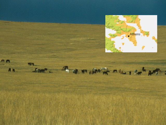 steppes Mongolia