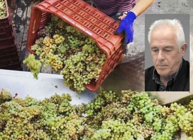 Χρ. Μάρκου (πρόεδρος ΚΕΟΣΟΕ): Θέμα επιβίωσης πλέον για τους αμπελουργούς του Αττικού Αμπελώνα (Συνέντευξη)