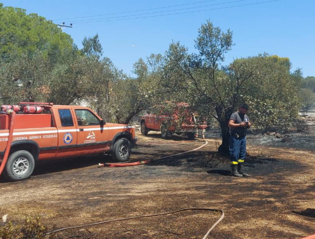 Κορωπί: Υπό πλήρη έλεγχο η φωτιά στην οδό Παπαγιαννοπούλου  (Φωτός)