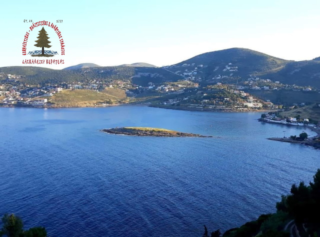 Δασκαλειό Κερατέας: Αγωνία κατοίκων και αντίδραση Εξωραϊστικού Συλλόγου για  επιθέσεις σκύλων