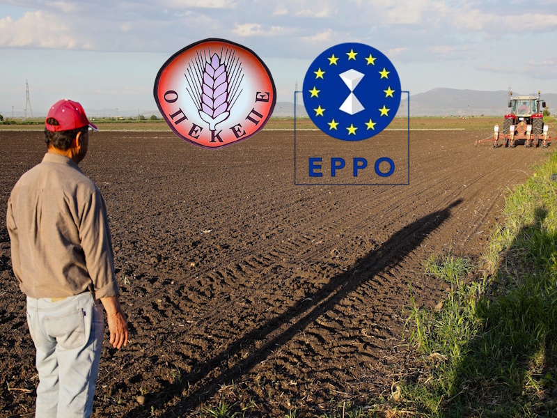EPPO: Νέα (;) υπόθεση απάτης με αγροτικά κονδύλια μπλέκει 11 βουλευτές και «κολλάει» στο Σύνταγμα 