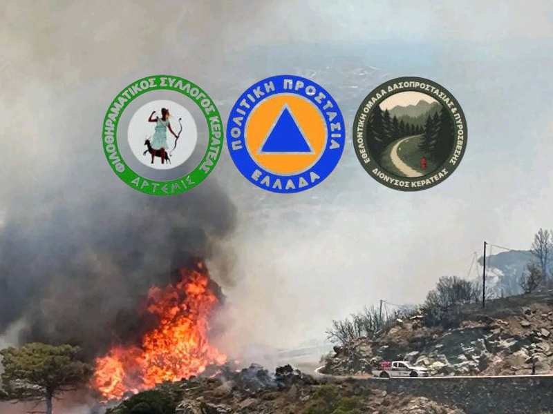 Εκπαίδευση και ετοιμότητα για την αντιπυρική περίοδο στην Κερατέα