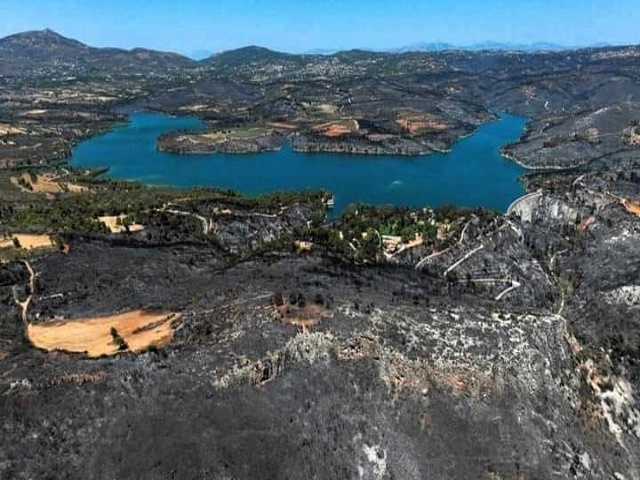 Η Αττική έχει χάσει το 37% των δασών της μέσα σε 8 χρόνια – Μετατρέπεται σε κρανίου τόπο 