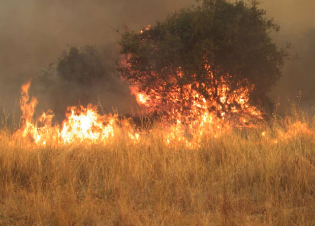 Οι 7 αποφάσεις της Διϋπουργικής για την αντιμετώπιση ακόμη και mega fires τις επόμενες ημέρες 