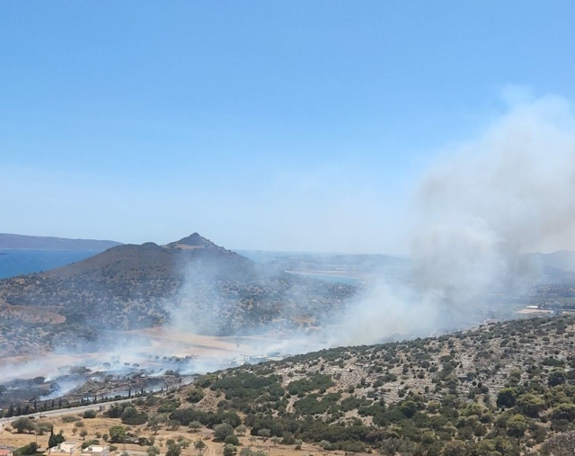 Η πυρκαγιά στο Θορικό και η λάθος ανακοίνωση της Πυροσβεστικής για την Παλιοκαμάριζα 