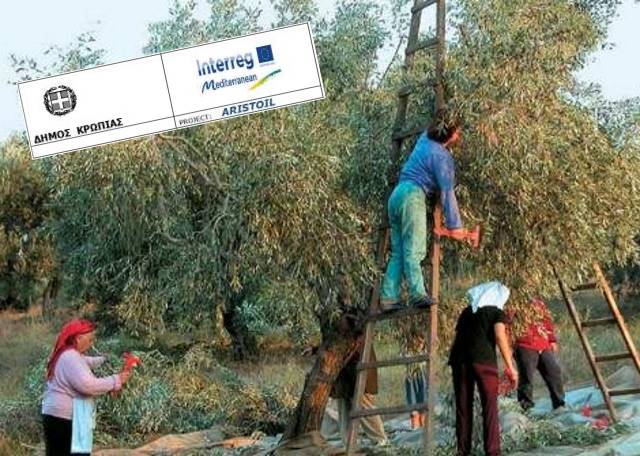 Χρήσιμη ενημέρωση για τους ελαιοκαλλιεργητές στο Κορωπί!