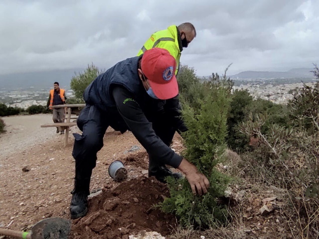 Κορωπί: Αναδάσωση από ΣΠΑΥ και Δήμο Κρωπίας σε πείσμα του κορωνοϊού (Φωτός)