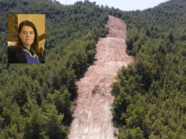 Δήμος Παιανίας: Έτσι θα φτιαχτούν οι αντιπυρικές ζώνες για να σώσουν ζωές και περιουσίες (Συνέντευξη)