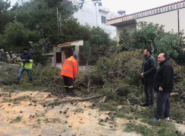 Τρίτο εικοσιτετράωρο επιφυλακής από τον Δήμο Σαρωνικού λόγω ανέμων – Αντιμετωπίστηκαν πλήθος περιστατικών! 