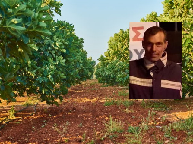 Αλ. Κολιαβασίλης: (Πρόεδρος Α.Σ. Μαρκοπούλου): Οι αγρότες ακόμη «πληρώνουν» τις μνημονιακές περικοπές  