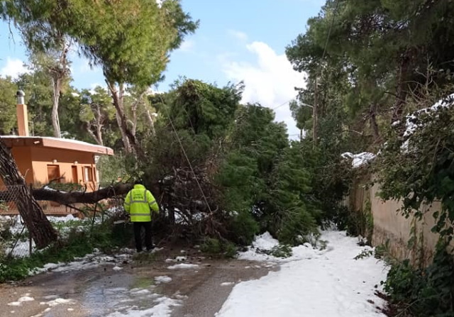 Δήμος Κρωπίας: Πολλές περιοχές χωρίς ηλεκτρικό – Απεγνωσμένες εκκλήσεις από πολίτες και δήμαρχο προς ΔΕΔΔΗΕ 