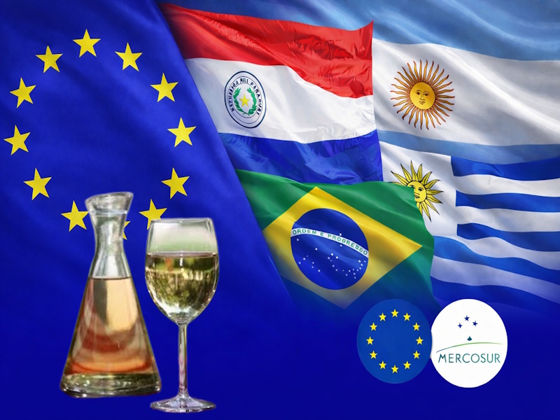 Από τη ρετσίνα Μεσογείων στη Mercosur: Μπορεί μια ξεχασμένη παράδοση να γίνει ξανά εξαγώγιμη αξία;