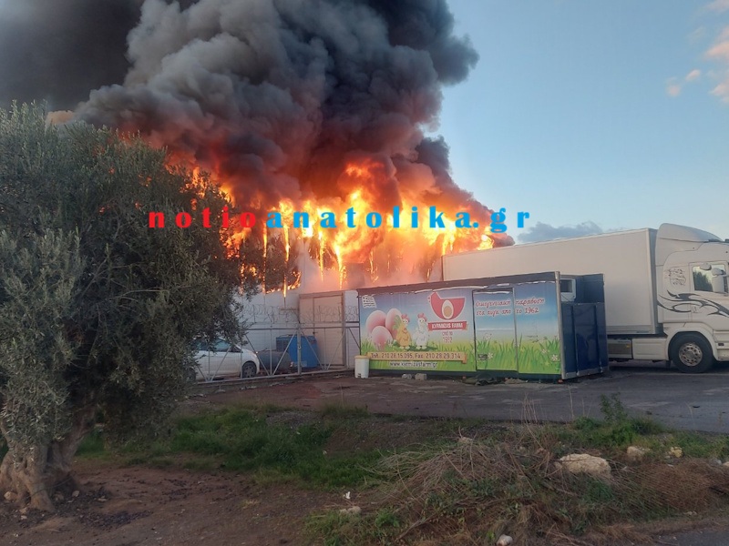 Κούπι Κορωπίου: Μεγάλη πυρκαγιά σε επιχειρηματικό χώρο – Στις φλόγες αποθήκες και μονάδα τυποποίησης