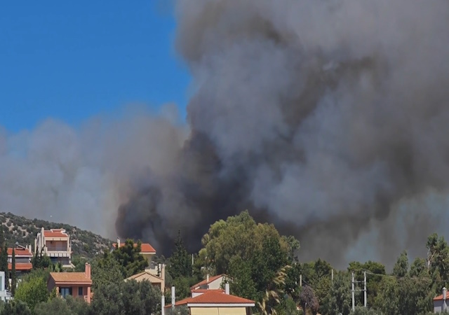 Ραφήνα: Μεγάλη φωτιά σε χαμηλή βλάστηση κοντά σε κατοικίες – Εκκενώσεις και διακοπές κυκλοφορίας
