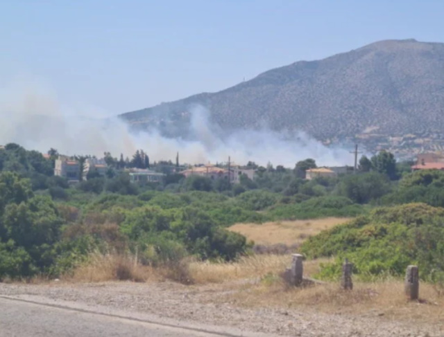 Φωτιά στον Αγ. Παντελεήμονα Αναβύσσου: Υπό έλεγχο μετά τις υπεράνθρωπες προσπάθειες Πυροσβεστικής και Πολ. Προστασίας
