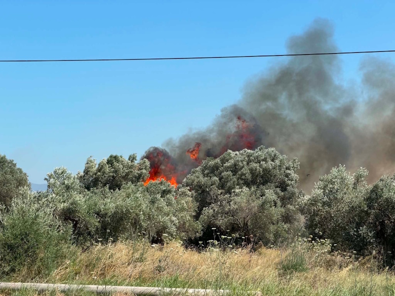 Φωτιά στα Σπάτα: Μεγάλη κινητοποίηση επίγειων και εναέριων δυνάμεων