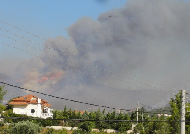 Πυρκαγιά 2013 στο Πόρτο Ράφτη: Δημόσιο κατά Lidl και ΑΚΤΩΡ ΑΤΕ για αποζημίωση 2,88 εκατομμυρίων ευρώ!