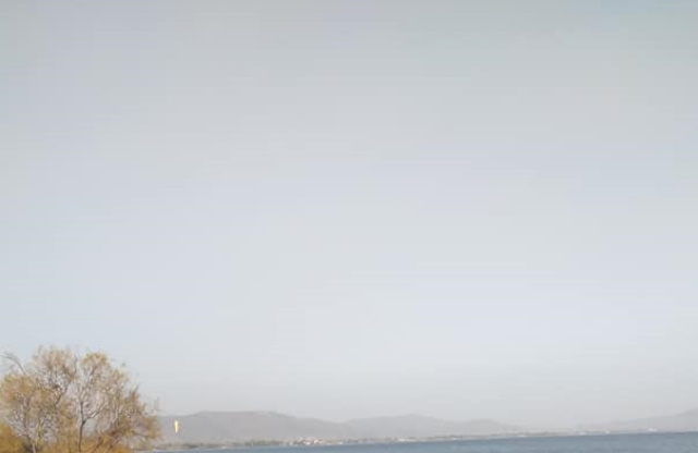 Λιμανάκι Νέας Μάκρης: Ένας αλλιώτικος συνωστισμός που έκανε αίσθηση! (Φωτός)