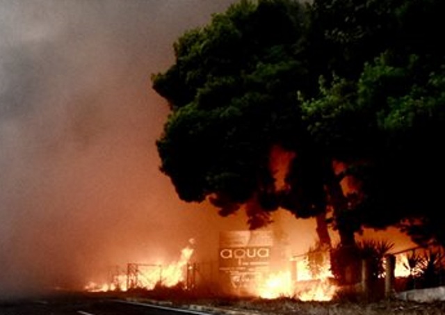 Αποκάλυψη: Μάντρωσαν τις ζωές για το θάνατο