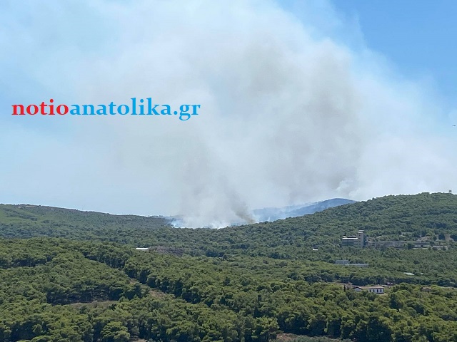 Καμία σχέση με την Πούντα Ζέζα η φωτιά στο πεδίο βολής της ΕΒΟ- ΔΕΝ κινδυνεύουν κατασκηνώσεις!