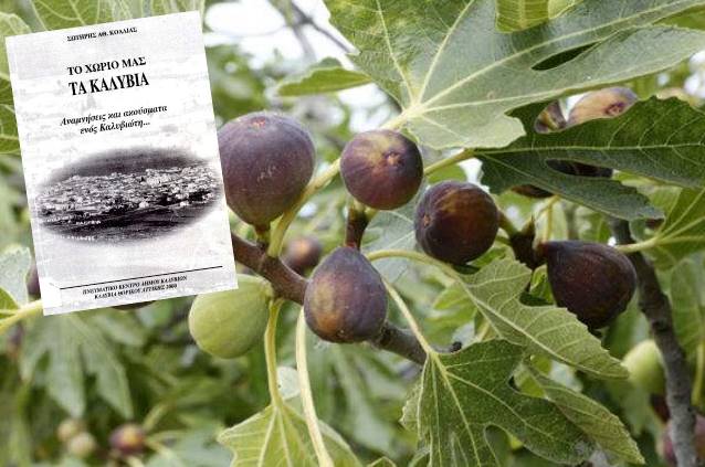 Οι συκιές, οι... μποστρογάνες και τα... κοτσινάπια στα Μεσόγεια άλλων εποχών