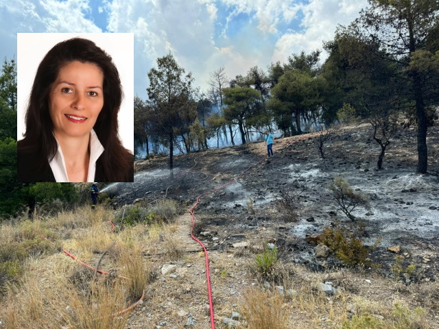 Φωτιά στα Γλυκά Νερά: Ποιος μεγάλος κίνδυνος αποσοβήθηκε (Συνέντευξη)