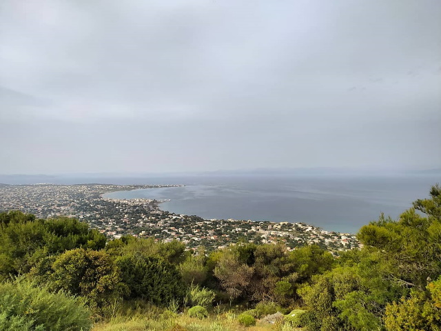 Αρτέμιδα - Σούνιο: Στο 90% η πληρότητα ακινήτων AirBnB το τριήμερο του Αγ. Πνεύματος