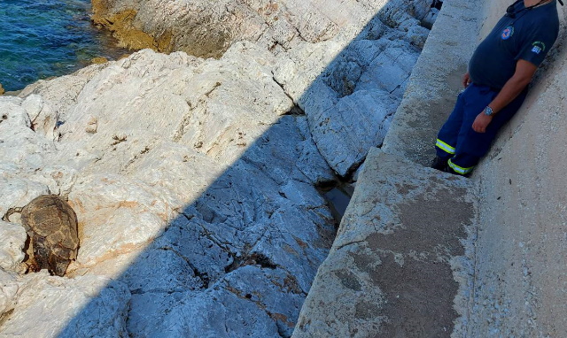Νεκρή καρέτα – καρέτα στα βράχια του Ribas – Άμεση η αντίδραση της Πολιτικής Προστασίας Κορωπίου (Φωτός) 