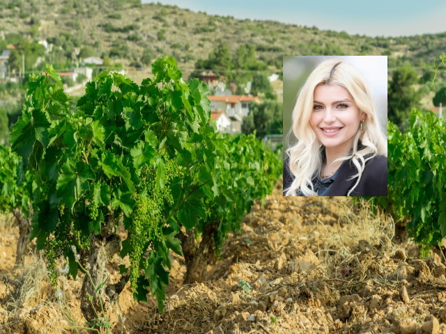 Σημαντικά οφέλη από την προώθηση των οίνων του Αττικού Αμπελώνα σε ΗΠΑ και Καναδά (Συνέντευξη)