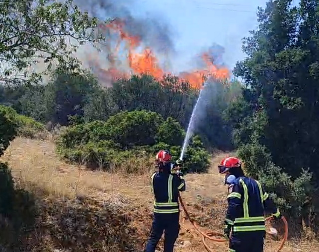 Διαρκείς αναζωπυρώσεις στην Πέτα, χιλιόμετρα το μέτωπο της φωτιάς προς ανατολικά και νότια (Συνεχής ενημέρωση) 