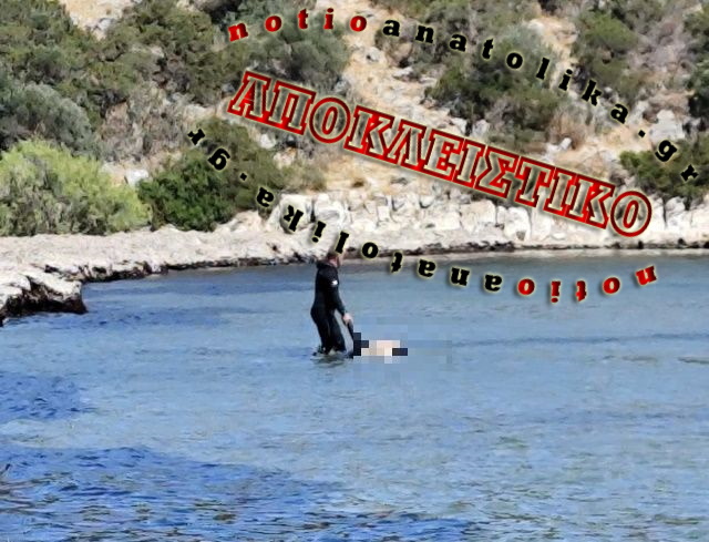 Σχινιάς: Αποκλειστικές εικόνες από την ανάσυρση του πτώματος που παραπέμπει σε μαφιόζικη εκτέλεση 