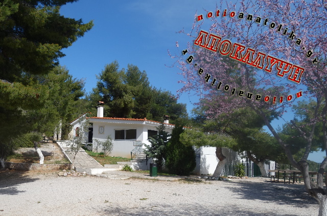 Κορωνοσυνάξεις εκατοντάδων στο καταφύγιο των κυνηγών στον Άγιο Ευστάθιο Υμηττού! (Βίντεο & φωτός)