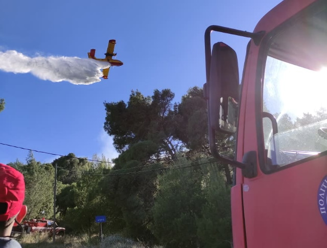 Αλθέα Κορωπίου: Αποκλειστικό βίντεο από ριψοκίνδυνες πτήσεις πυροσβεστικών αεροσκαφών 