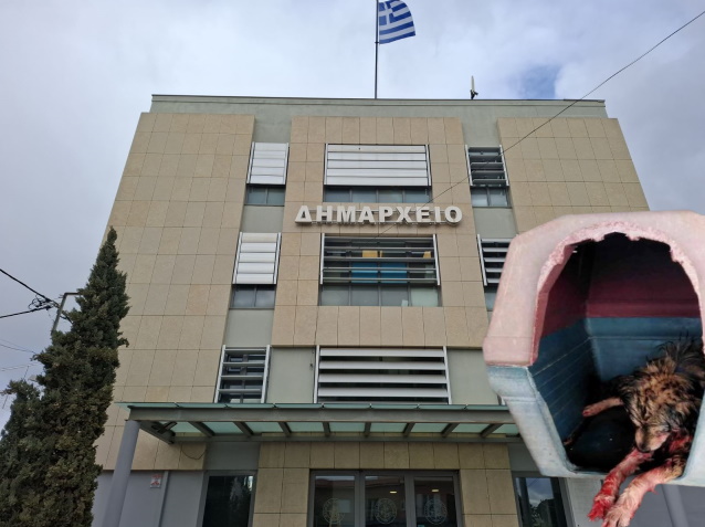 Υπόλογος ο Δήμος Κρωπίας για την κατάσταση των αδέσποτων – Αντί για απαντήσεις, ρίχνει σκιές στην καταγγελία