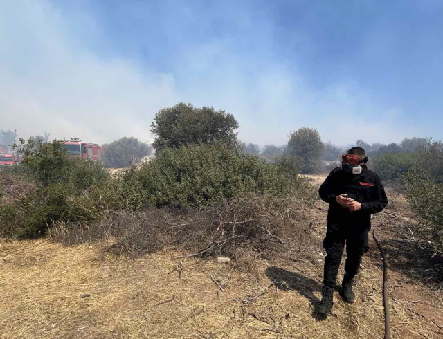 Δήμος Σαρωνικού: Πώς οργανώνει την προστασία ζωών και περιουσιών από τις θερινές πυρκαγιές (Συνέντευξη)