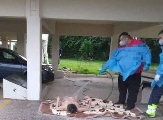 Αίσχος του Ωρωπού: Εισαγγελική έρευνα για το αδίκημα της σωματικής βλάβης σε βάρος αδύναμου ατόμου (Συνέντευξη δημάρχου)