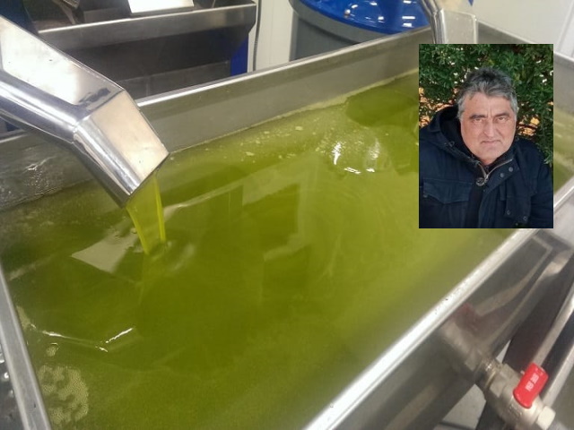 Προβληματισμός για την παραγωγή ελαιολάδου στον κάμπο των Μεσογείων (Συνέντευξη) 