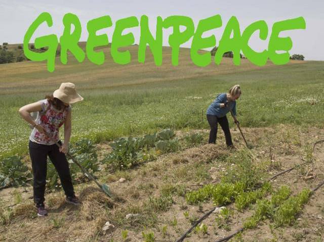 Η Greenpeace ψάχνει γη στην ανατολική Αττική για να εφαρμόσει νέες γεωργικές μεθόδους 