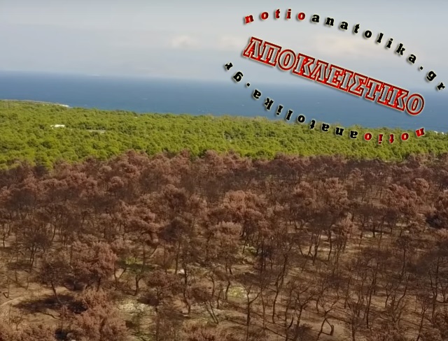 Ρομά έκλεβαν κάθε λογής μεταλλικά αντικείμενα από σπίτια στο Μάτι με κάλυψη ένα... μωρό! 