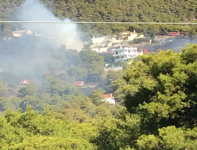 Διόνυσος Κερατέας: Οριοθετήθηκε η πυρκαγιά μετά την άμεση επέμβαση της Πυροσβεστικής
