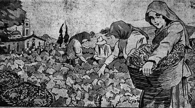 Εφημερίδα «Πατρίς», 1928: Τρύγος σταφυλιών στ’ αμπέλια στα Μεσόγεια Αττικής