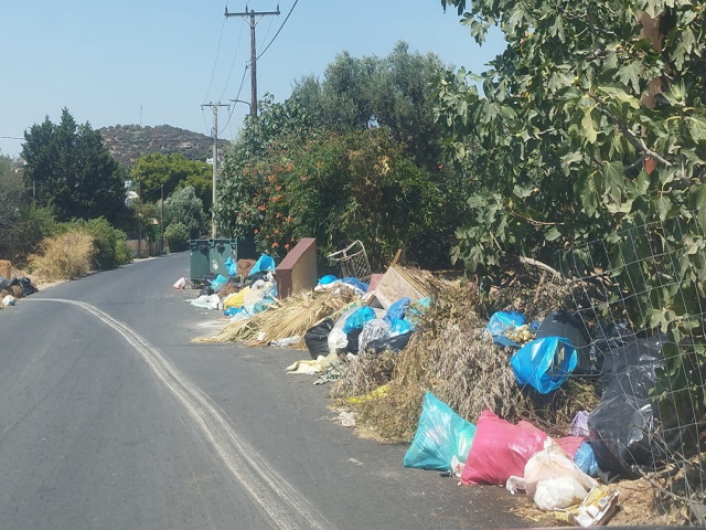 Δήμος Μαρκοπούλου: Μεγάλη αποζημίωση στην απολυμένη για άσκηση πολιτικής κριτικής, δημ. υπάλληλο 
