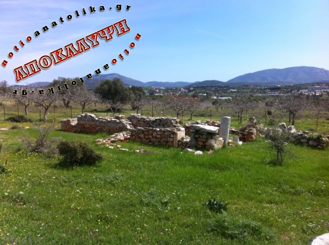 Είχαν... σπείρει φόλες σε δασική έκταση του Κορωπίου – Κυνηγοί έσωσαν ζώα από βέβαιο θάνατο!