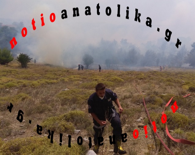 Κατάσταση απόγνωσης: Τεράστιο μέτωπο φωτιάς προς Μαλακάσα! (Βίντεο & φωτός)