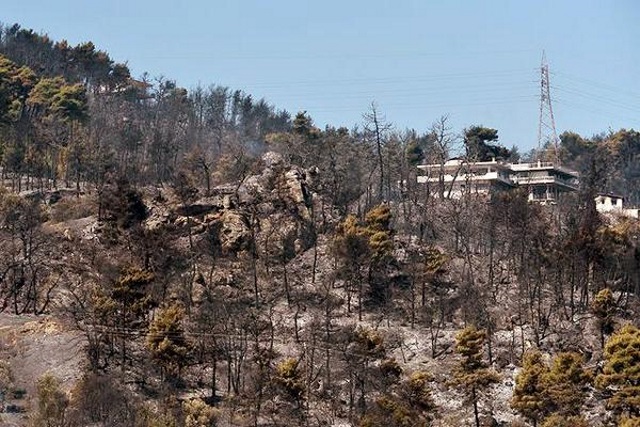 Αττική: Το κτηματολόγιο, οι δασικοί χάρτες και οι πρόσφατες πυρκαγιές