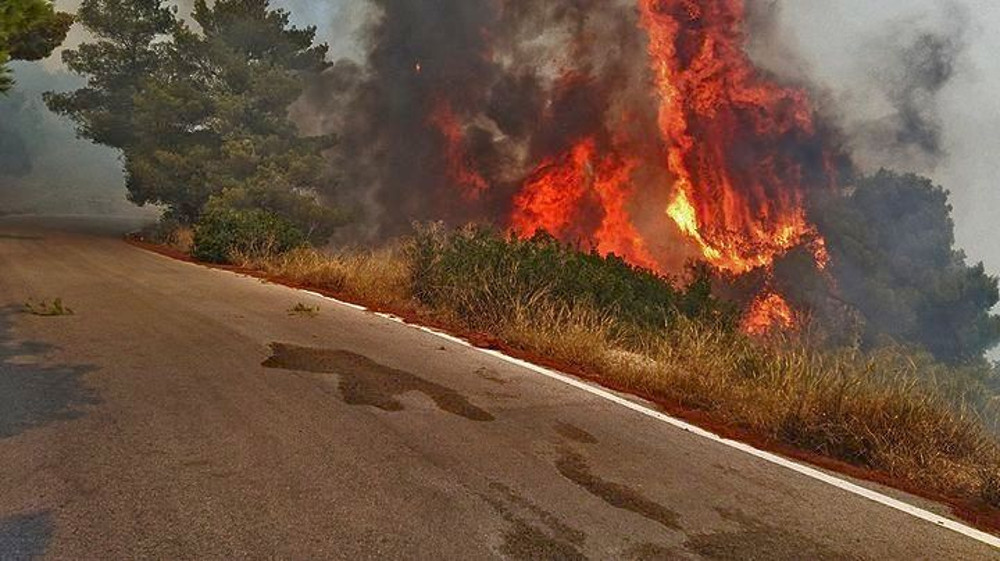 Πυρομανής ετών 24ων στα χέρια της αστυνομίας